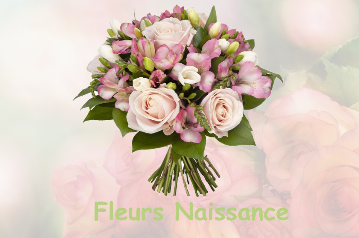 fleurs naissance HURTIERES