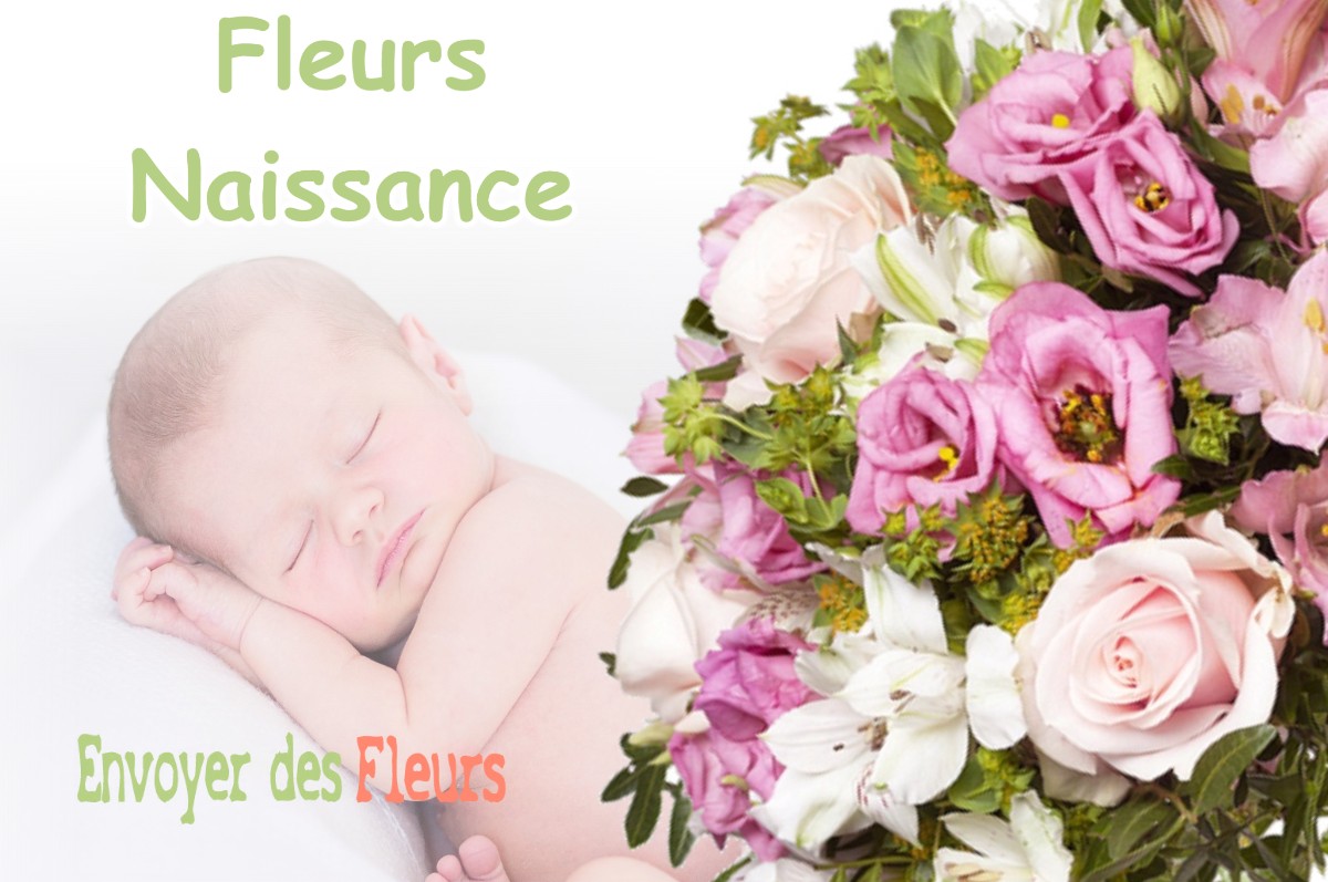 lIVRAISON FLEURS NAISSANCE à HURTIERES